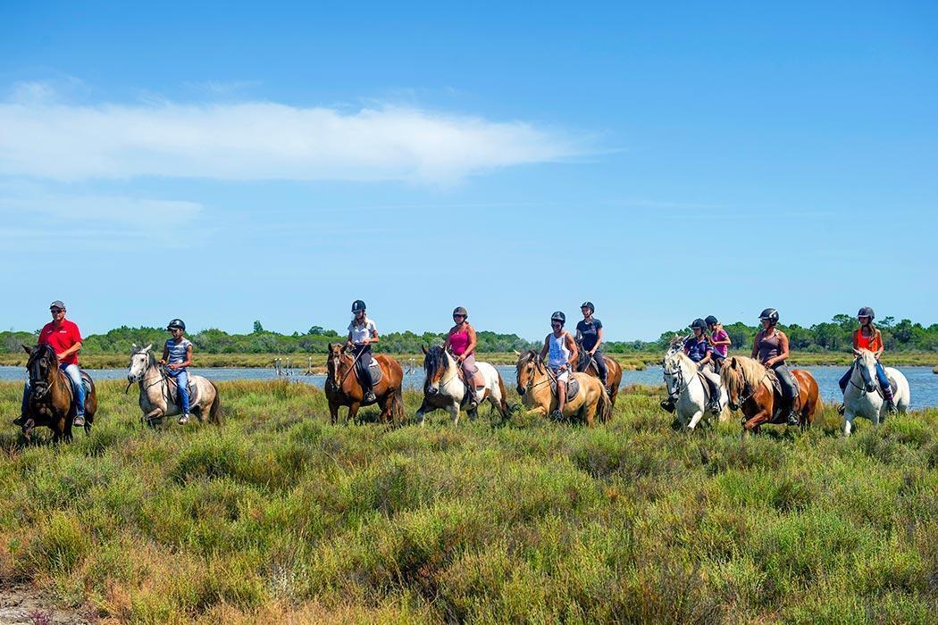 Terres de Camargue