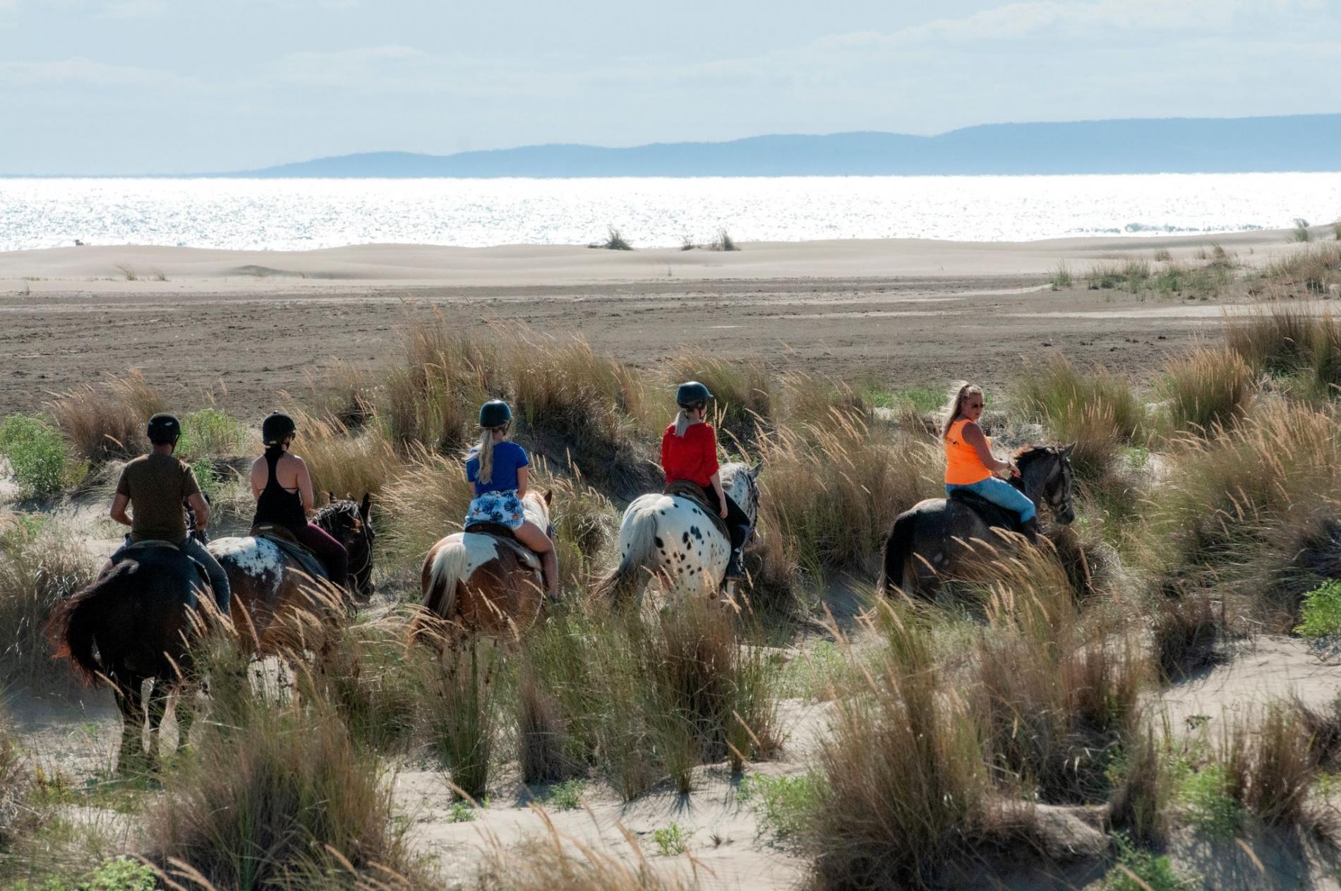 Plage et dunes