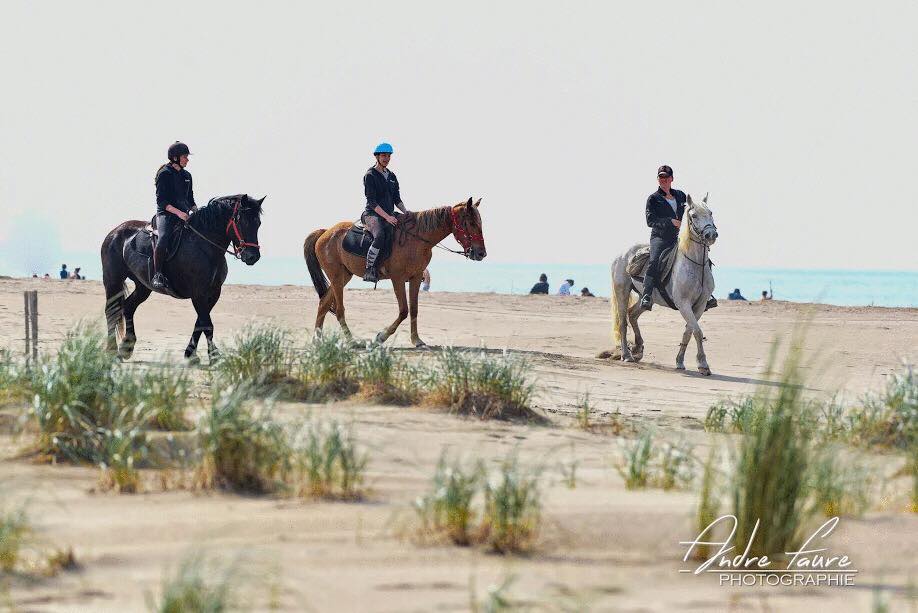 Plage et dunes