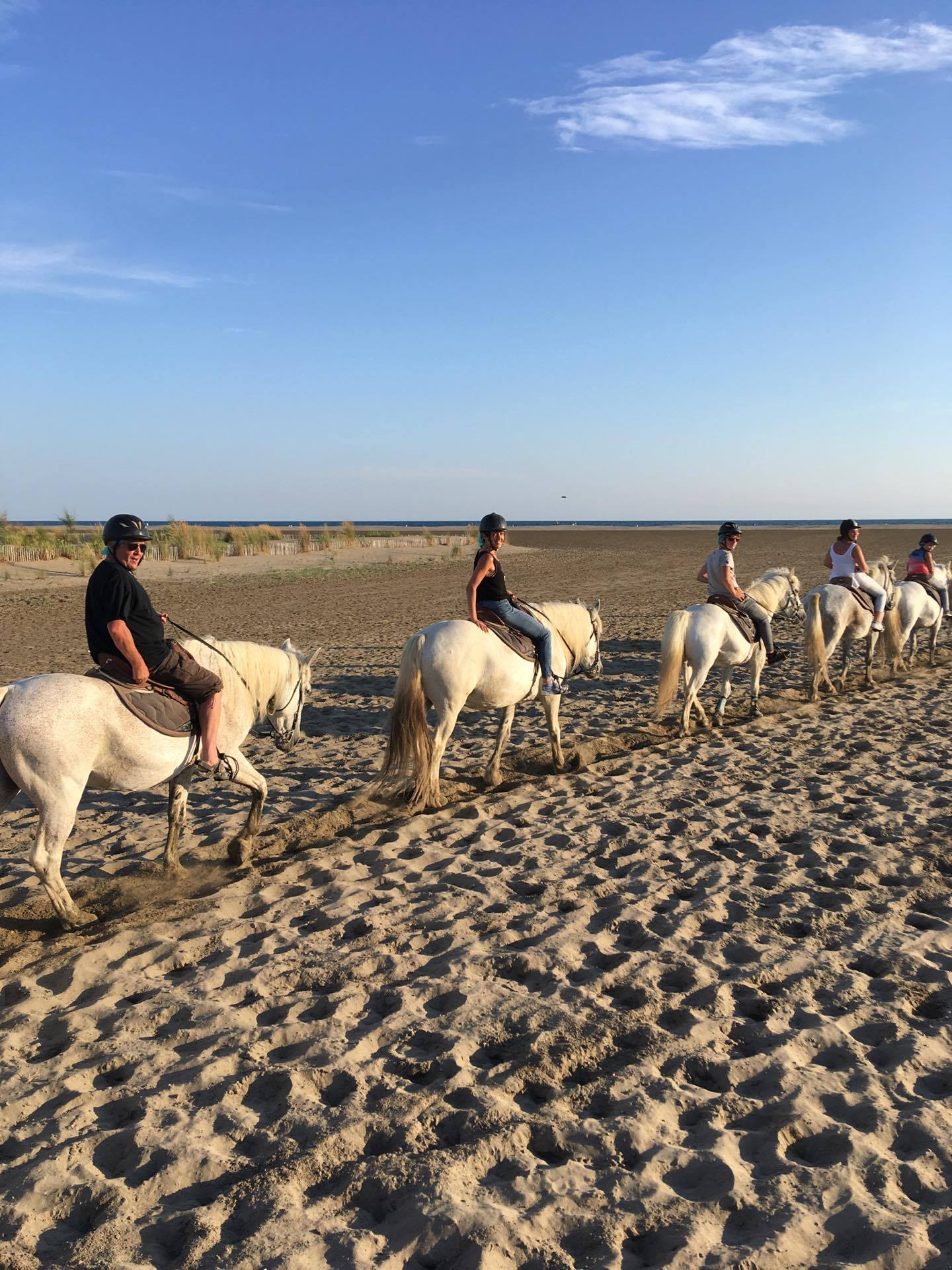 Plage et dunes